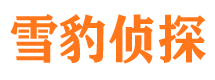 咸丰寻人公司